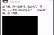 娱乐圈吃瓜大集合txt,揭秘“吃瓜大集合”txt背后的精彩故事